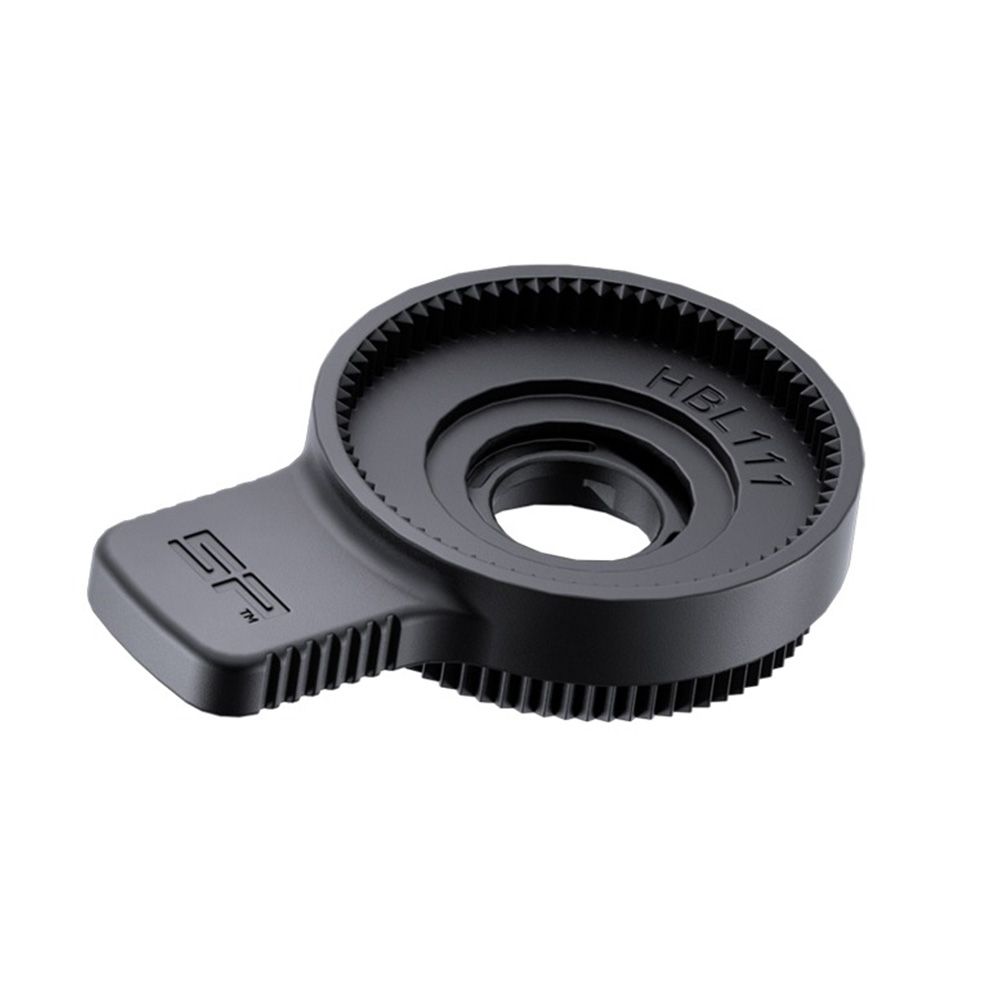 Daisy on the Ohoopee